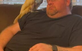 Cockatoo Entertains His Humans - Animals - VIDEOTIME.COM