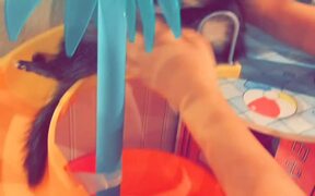 Ferret Swirls Down Dollhouse Slide - Animals - VIDEOTIME.COM