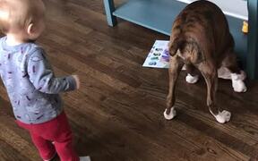 A Boy and A Dog - Animals - VIDEOTIME.COM