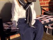 Adorable Dressed Up Dog on a Bench - Animals - Y8.COM