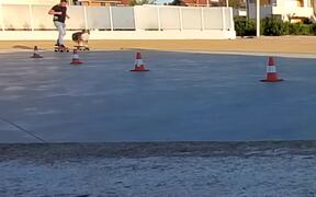 Skateboarding Dog Skillfully Slaloms through Cones