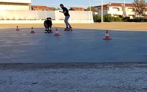 Skateboarding Dog Skillfully Slaloms through Cones - Animals - VIDEOTIME.COM