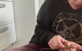 Woman Who Overcame Fear Of Tarantulas  - Animals - VIDEOTIME.COM