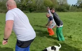 Adults Fumbling All Over While Playing Sack Race - Fun - VIDEOTIME.COM