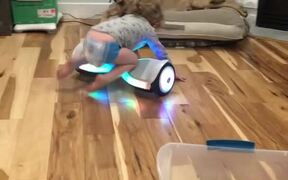 Hoverboards Aren't For Toddlers - Kids - VIDEOTIME.COM
