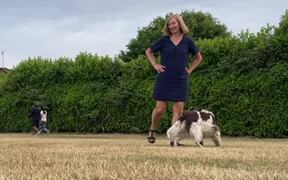 Woman Performs Slalom Tricks With 2 Dogs - Animals - VIDEOTIME.COM