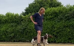 Woman Performs Slalom Tricks With 2 Dogs