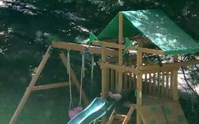 Bear Family Plays on Play Set - Animals - VIDEOTIME.COM
