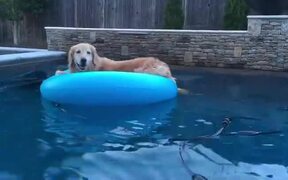 Dog Relaxes on Inflatable Float