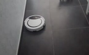 Little Cat Gets Scared of Robotic Vacuum Cleaner - Animals - VIDEOTIME.COM