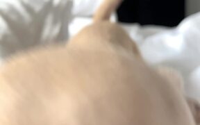 Playful Chihuahua Has A Special Message For Fans - Animals - VIDEOTIME.COM