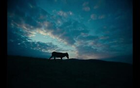 EO Trailer - Movie trailer - VIDEOTIME.COM