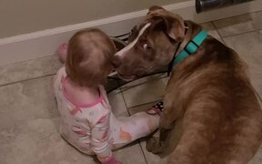 Mom Finds Baby Girl Feeding Dog Food to Pet Dog - Animals - VIDEOTIME.COM