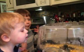 Young Brothers Excitedly Watch Popcorn Kernels Pop - Kids - VIDEOTIME.COM