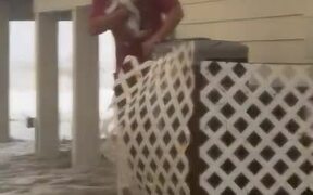 Man Rescues Cat Stuck in Flood - Animals - VIDEOTIME.COM