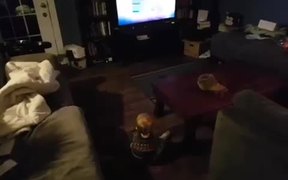 Baby Loves Jeopardy