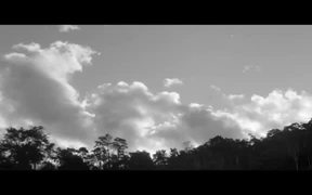 Vazante Official Trailer