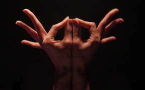 Hands Are Our Vehicle To Manifest Consciousness