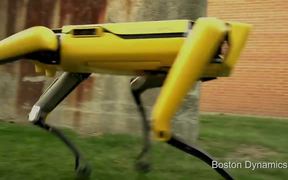 Dogs Of The Future The Spotmini - Tech - VIDEOTIME.COM