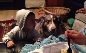 Dog Saying Mama - Animals - VIDEOTIME.COM