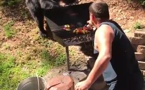 Bear Wants Barbeque - Animals - VIDEOTIME.COM