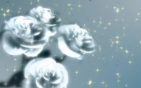 Flowers Rotating - Anims - VIDEOTIME.COM