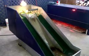 Baby Ducklings Playing On A Waterslide - Animals - VIDEOTIME.COM