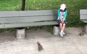Pulling A Tooth Using A Squirrel