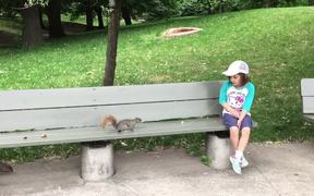 Pulling A Tooth Using A Squirrel