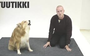 Dog Reacts To Human Barking