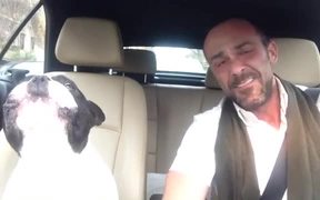 Dog And Owner Duet - Animals - VIDEOTIME.COM