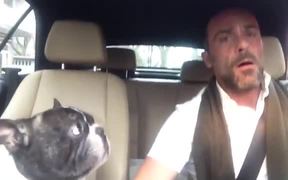 Dog And Owner Duet - Animals - VIDEOTIME.COM