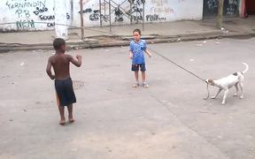 Dog Playing Jump Rope - Animals - VIDEOTIME.COM