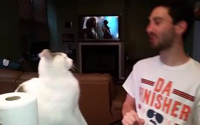 Cat Punches Owner In Face - Animals - VIDEOTIME.COM