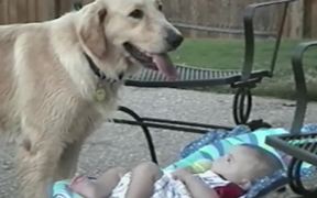 Cute Dogs And Babies - Animals - VIDEOTIME.COM