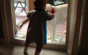 Cute Dogs And Babies