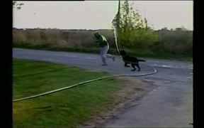 Dog Sprays Down Owner With Hose - Animals - VIDEOTIME.COM