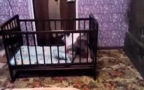 Baby Makes Clever Escape - Kids - VIDEOTIME.COM