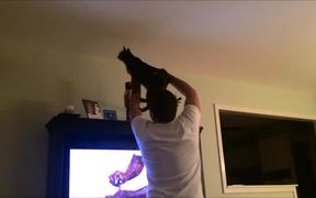 Man And Cat Team Up To Catch A Bug