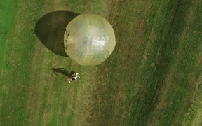 The Giant Fun Ball - Fun - VIDEOTIME.COM