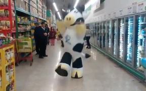 The Dancing Cow - Fun - VIDEOTIME.COM
