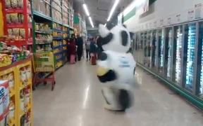 The Dancing Cow - Fun - VIDEOTIME.COM