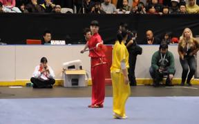 Insane Wushu Championship - Sports - VIDEOTIME.COM