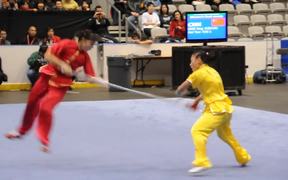 Insane Wushu Championship