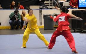 Insane Wushu Championship