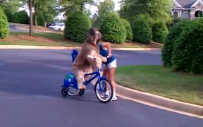 Dog Riding A Bike By Himself - Animals - VIDEOTIME.COM