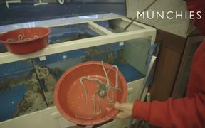 Munchies - Weird - VIDEOTIME.COM