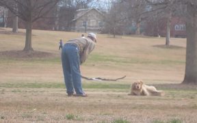 Dog Wont Leave The Park