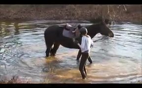 Horses In Water