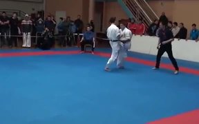 Incredible Karate Knockout